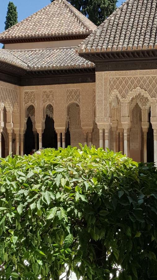 Апартаменты Mirador Alhambra - 2 Private Terraces - Wifi - Гранада Экстерьер фото